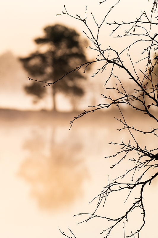 Lever sur brume