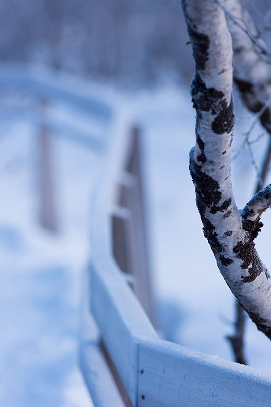 Arbres