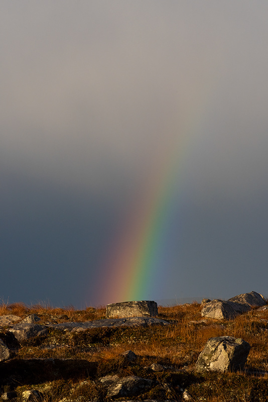 Arc Light