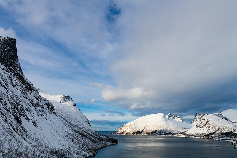 Bergfjord