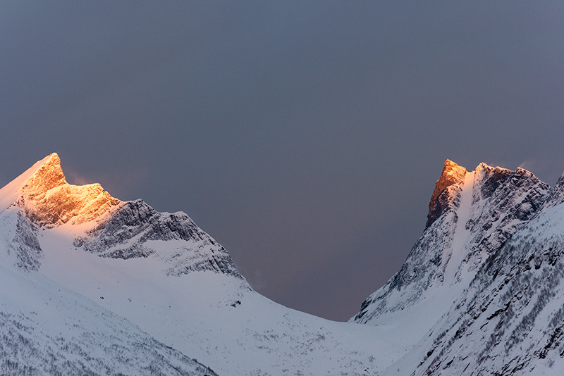 Lever au Bergsfjord