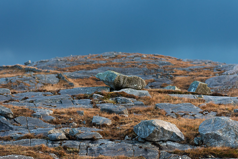 Scottish Light