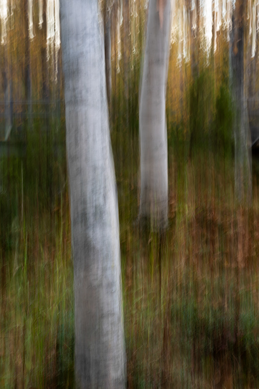 ICM #4