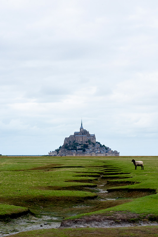 "Mon Mouton"