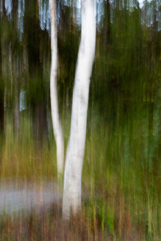ICM #2
