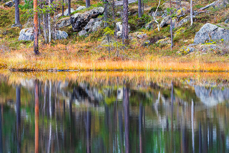 Reflet