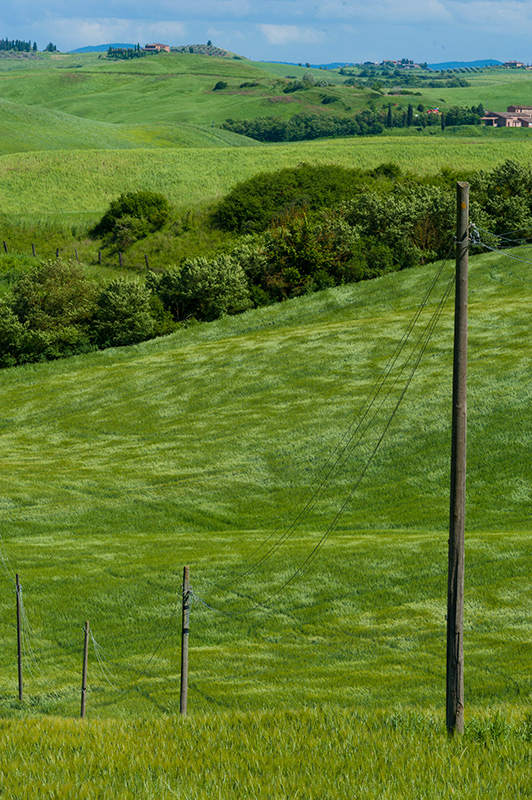 Crete senesi #2