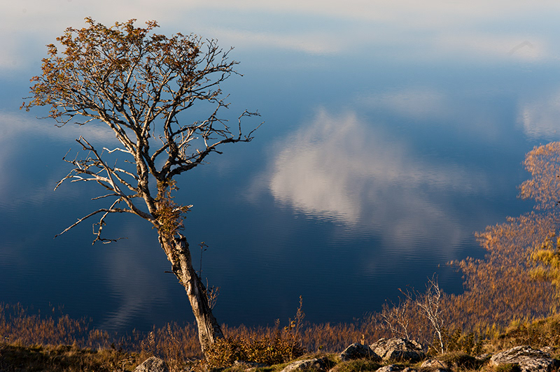 Ciel renversé
