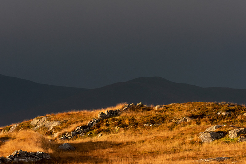 Scottish Light