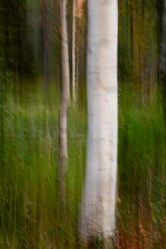 ICM #3