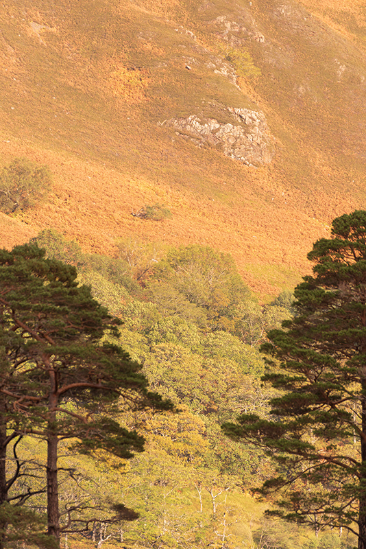 Couleurs d'automne #2