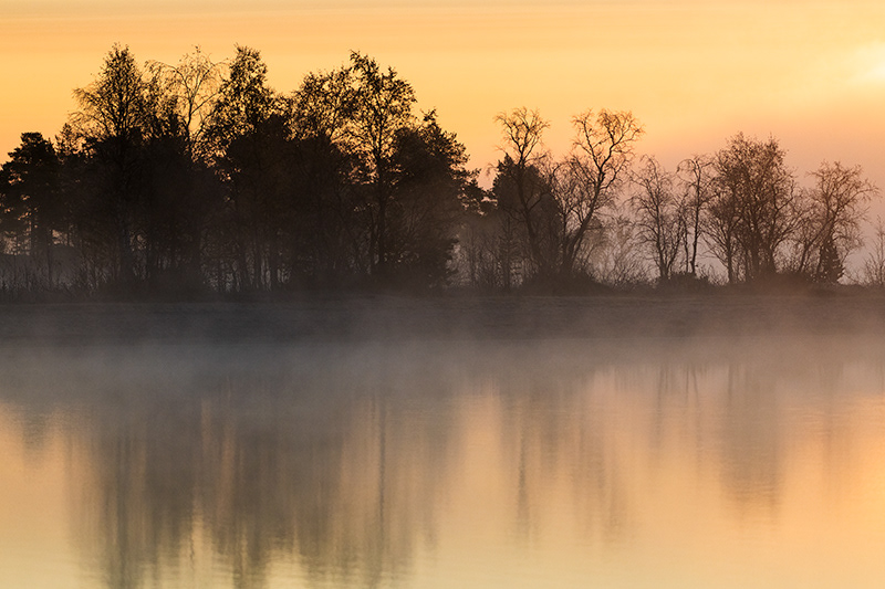 Lever sur brume