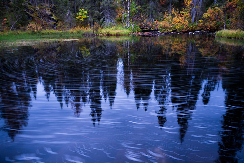 Reflet