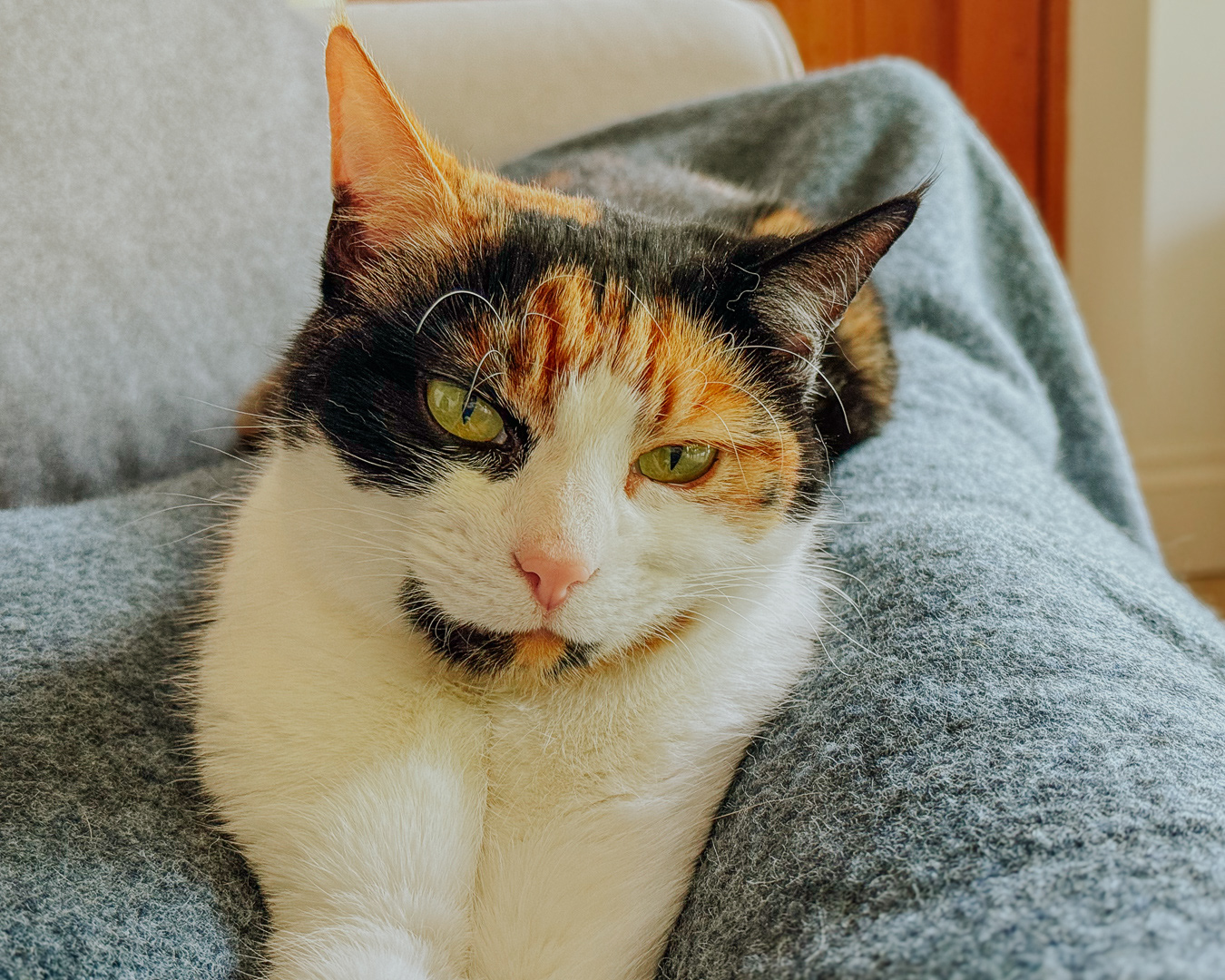 Cookie, Lewes