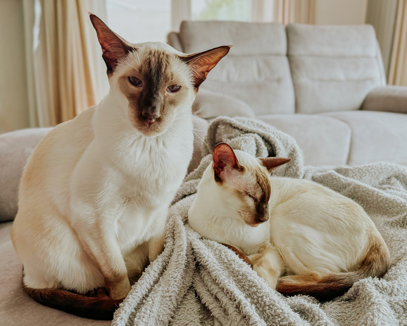 Truffle & Bailey, Brighton