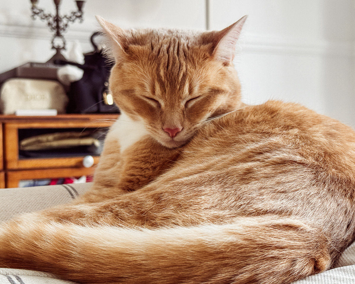 Harry, Eastbourne