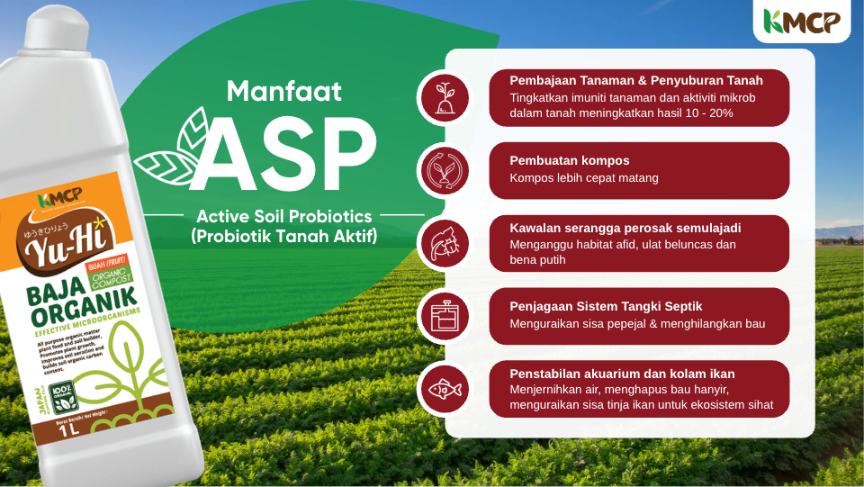 KMCP Company Profile