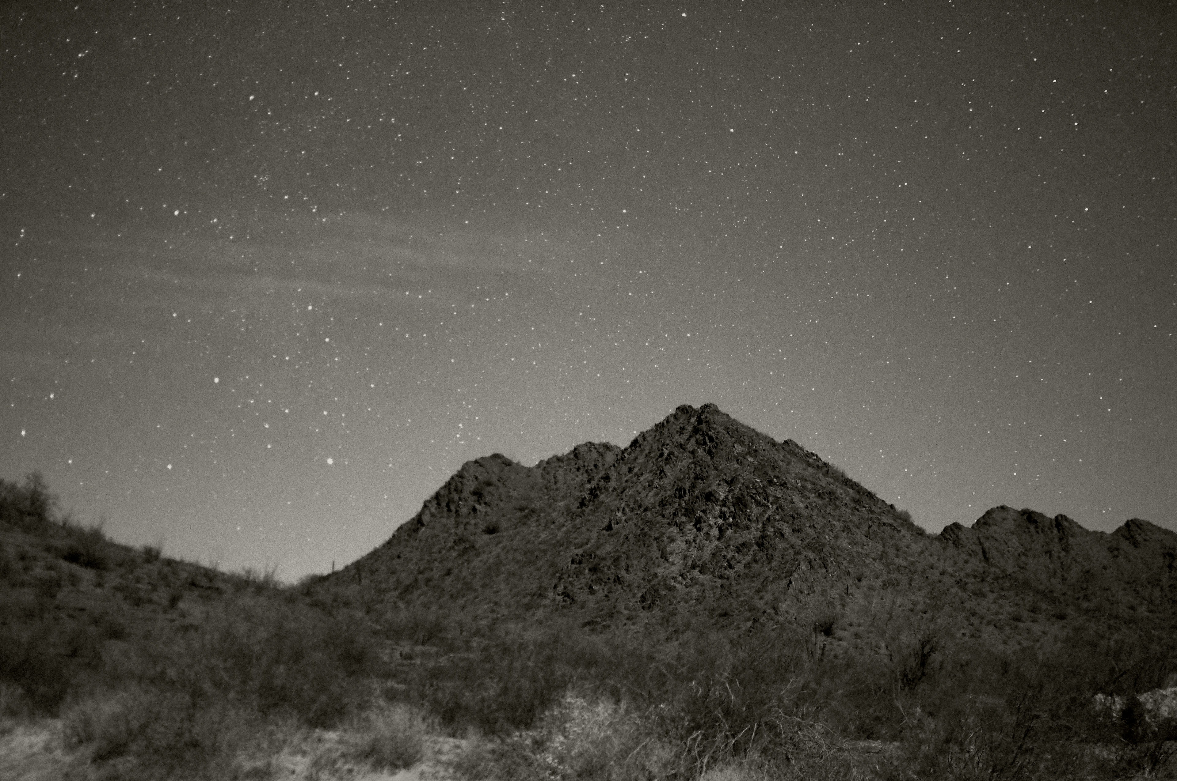 Warm Desert Night