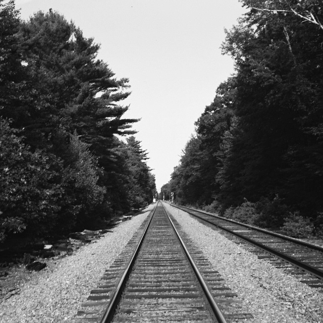 1915 Zeiss images from Maine