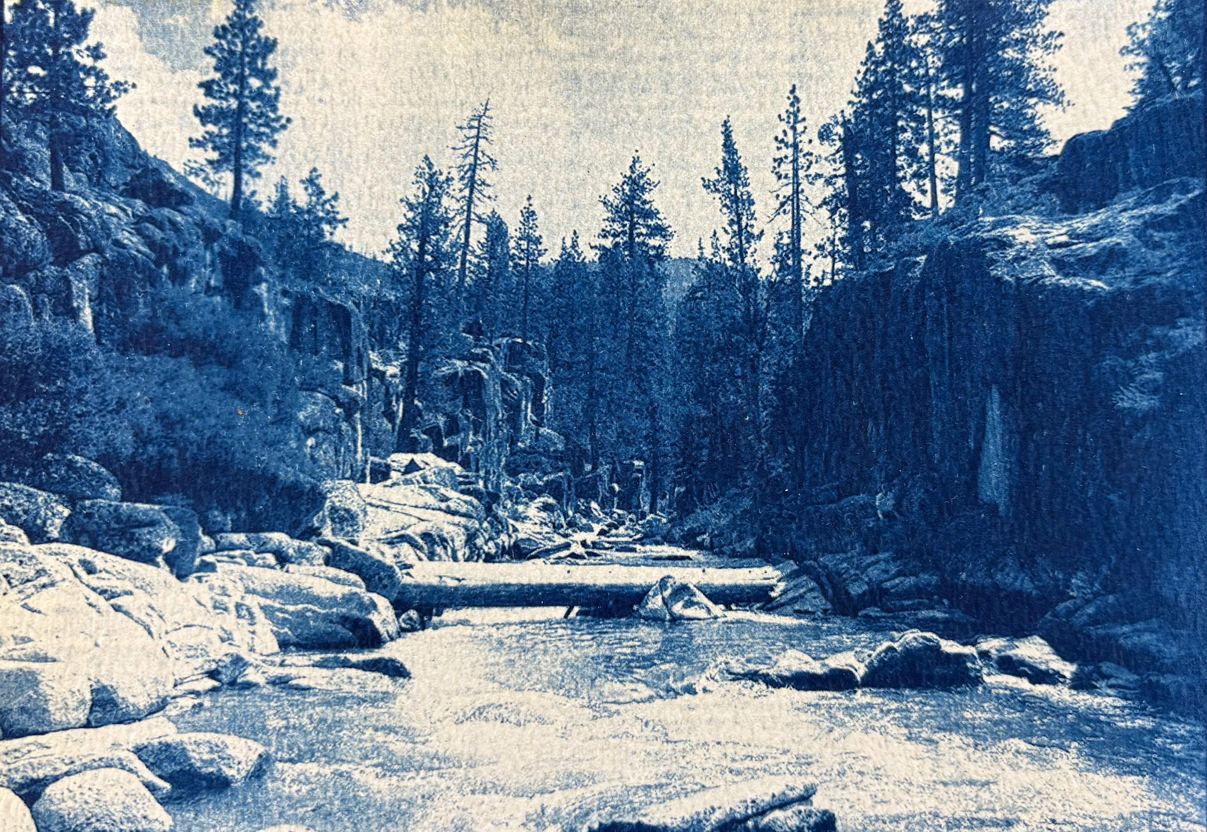Finding Home, 2026 - 7.5" x 5.5" Cyanotype