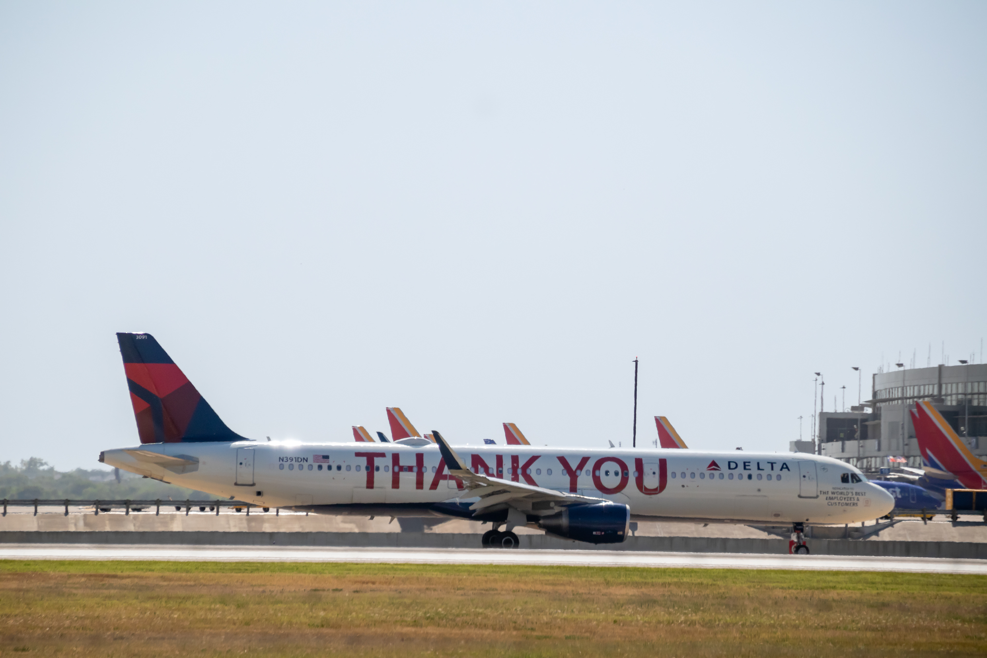 Delta Thank You Livery 