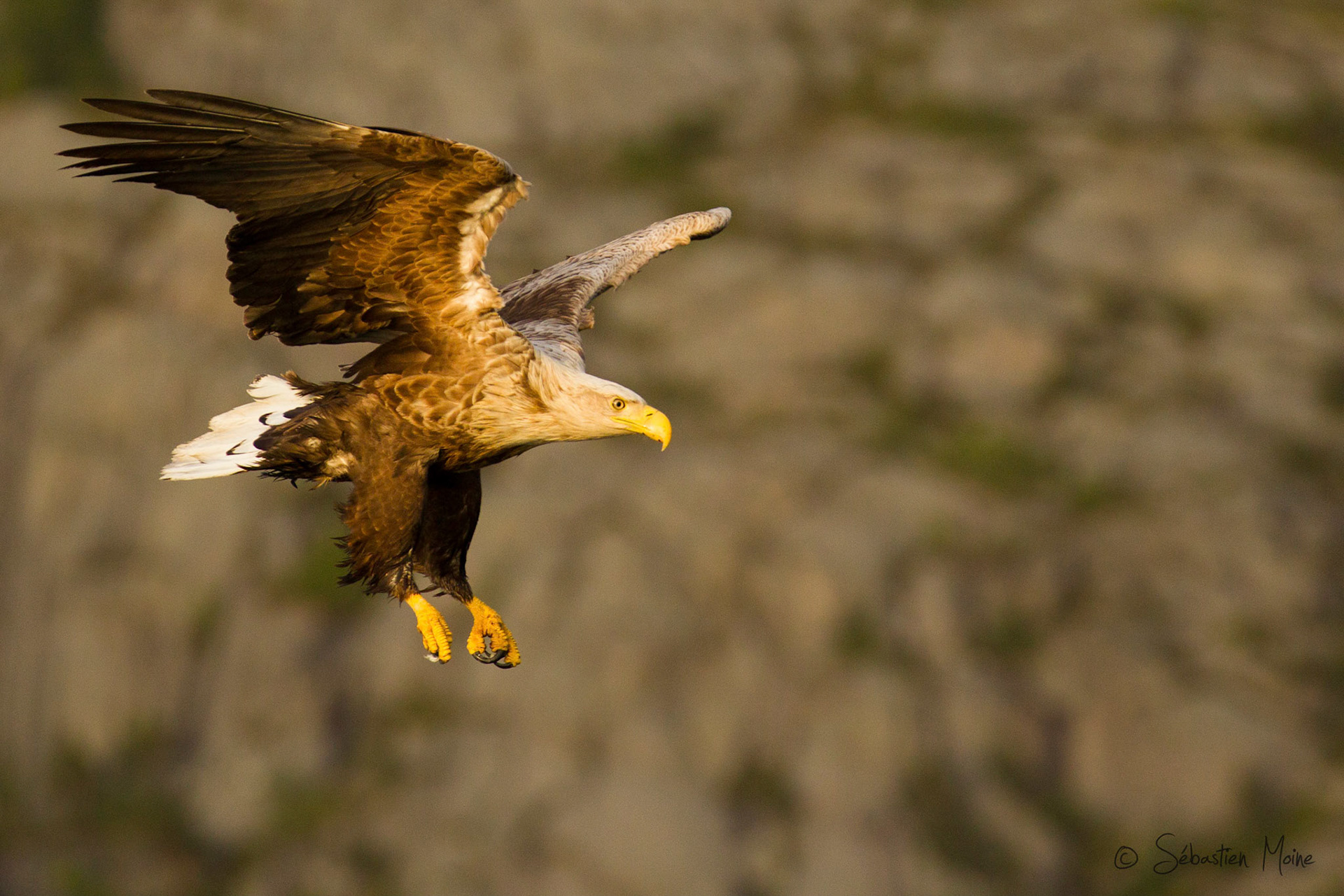 Reise Schweden,Ole Martin