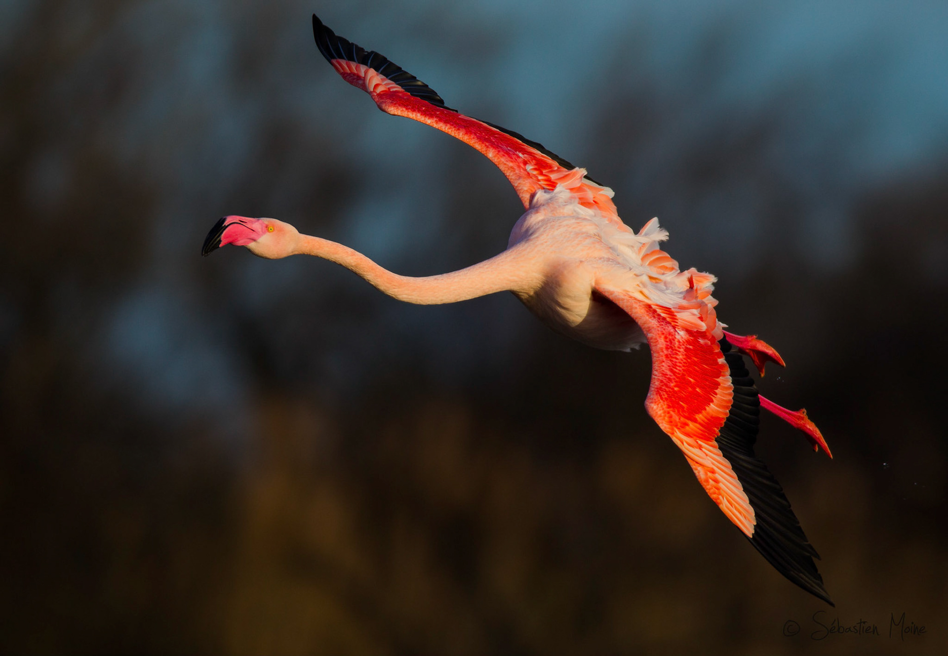 Parc du pont de Gau,Saintes Maries de la Mer
