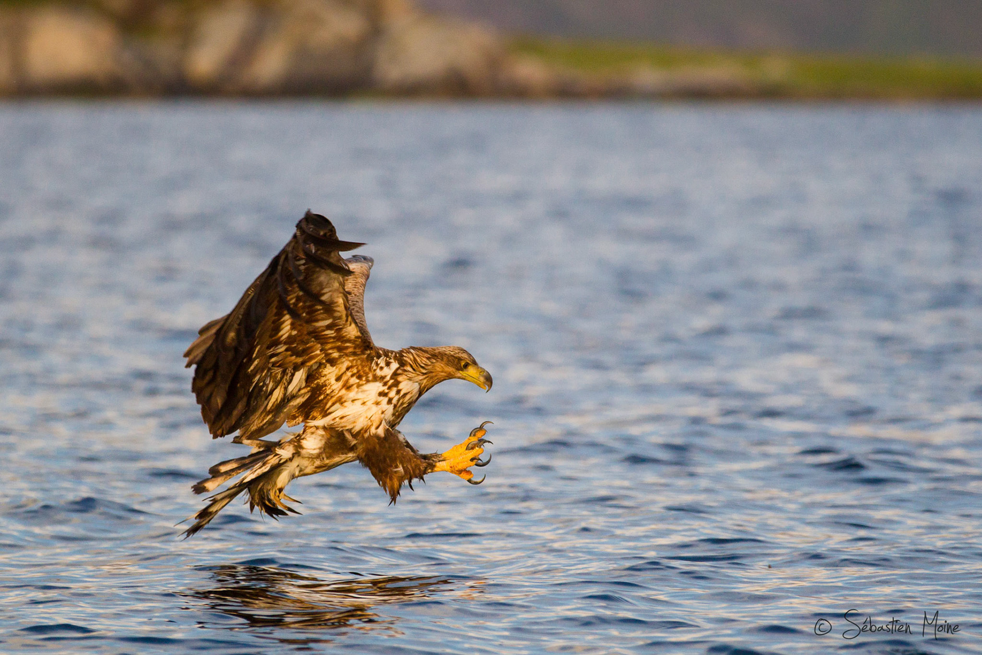 Reise Schweden,Ole Martin