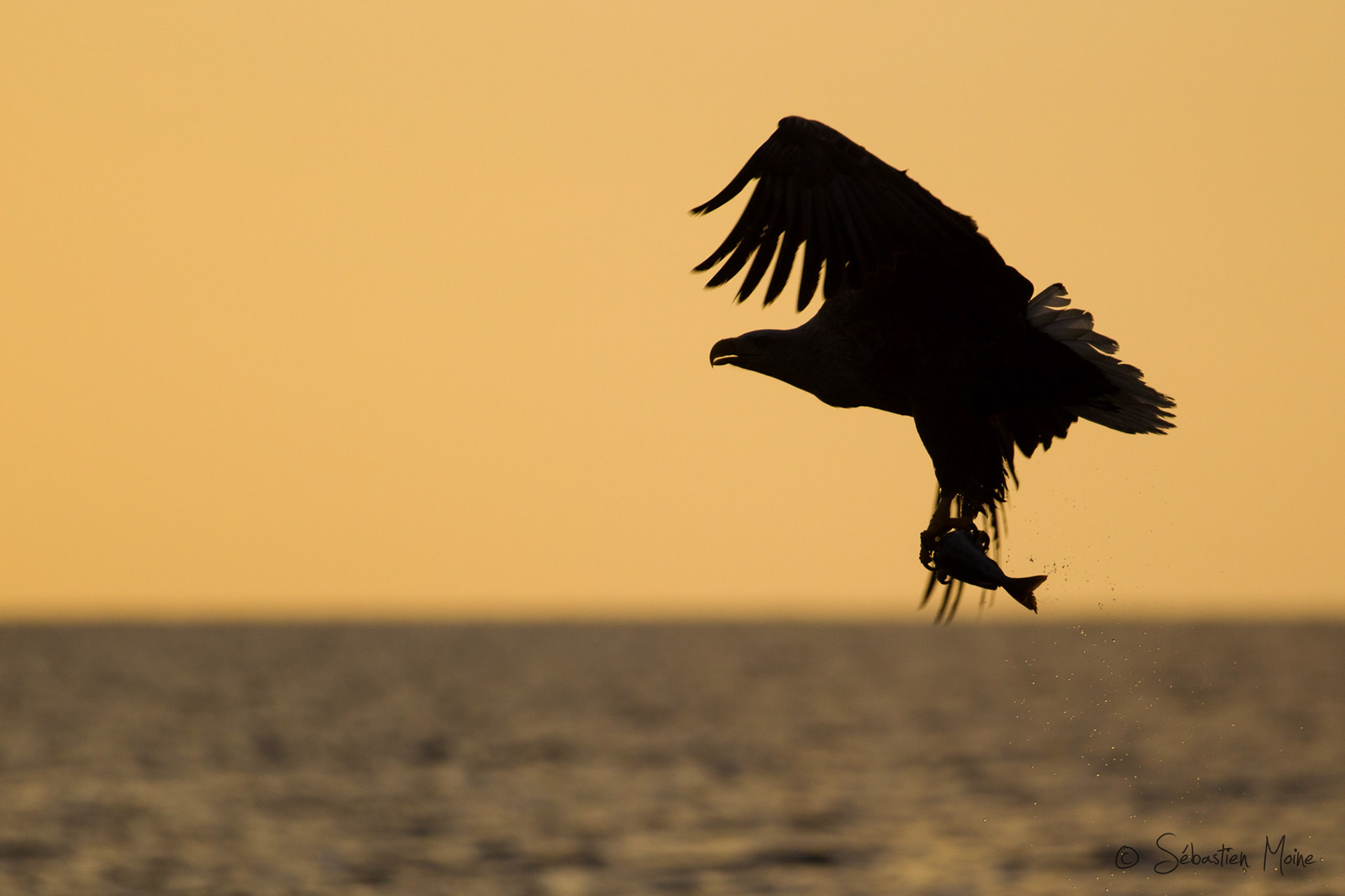 Reise Schweden,Ole Martin