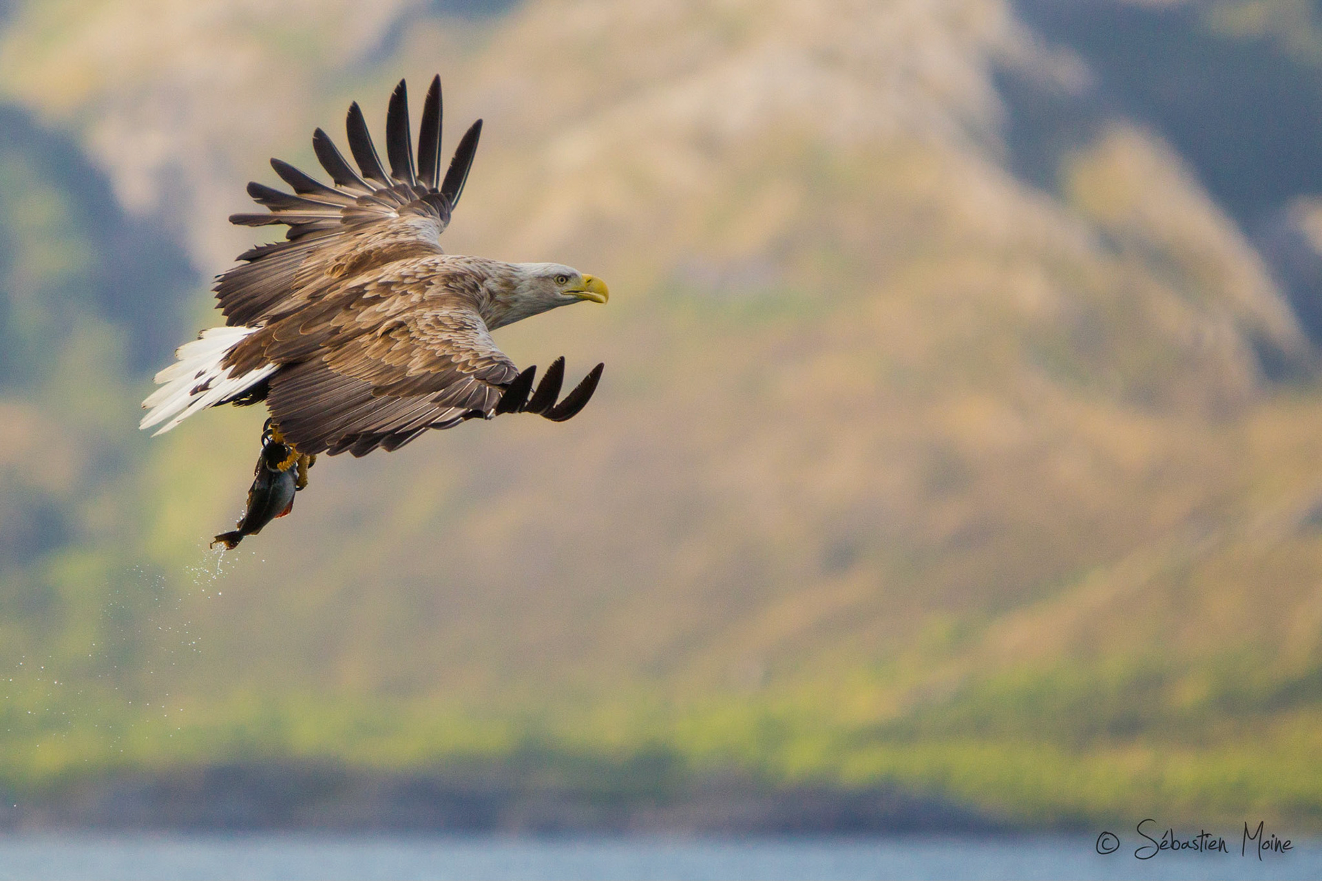 Reise Schweden,Ole-Martin