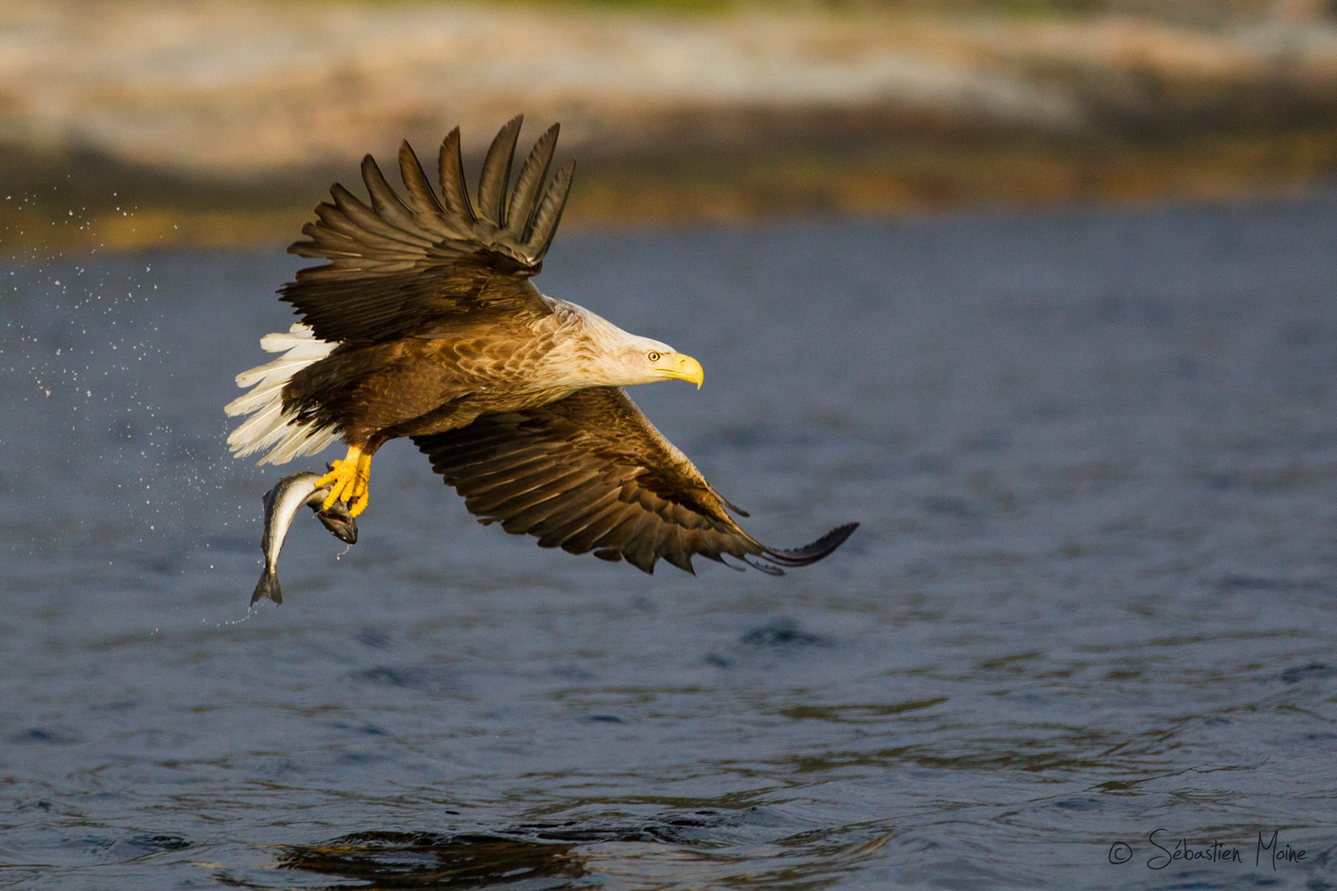 Reise Schweden,Ole Martin