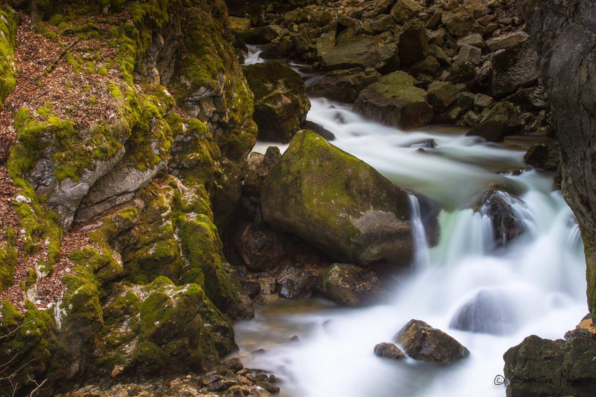 Les Gorges de l'Areuse