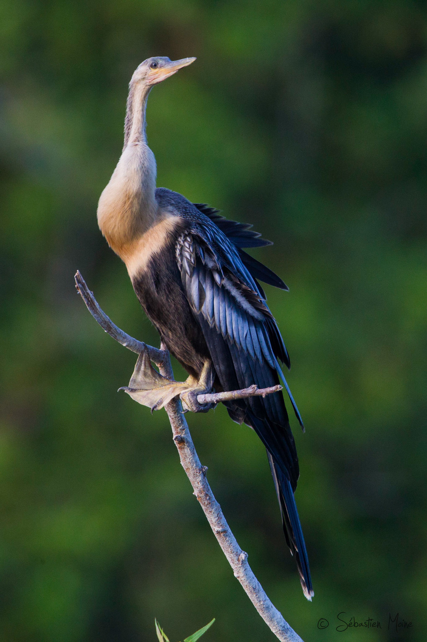 Florida