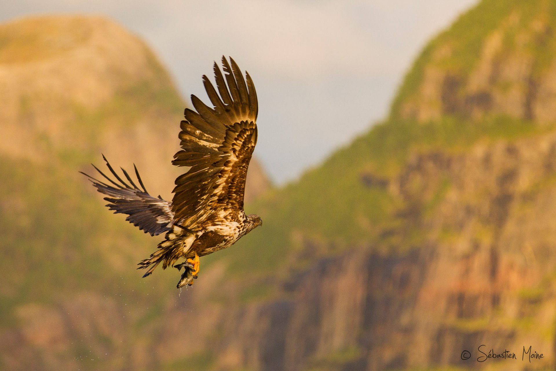 Reise Schweden,Ole Martin