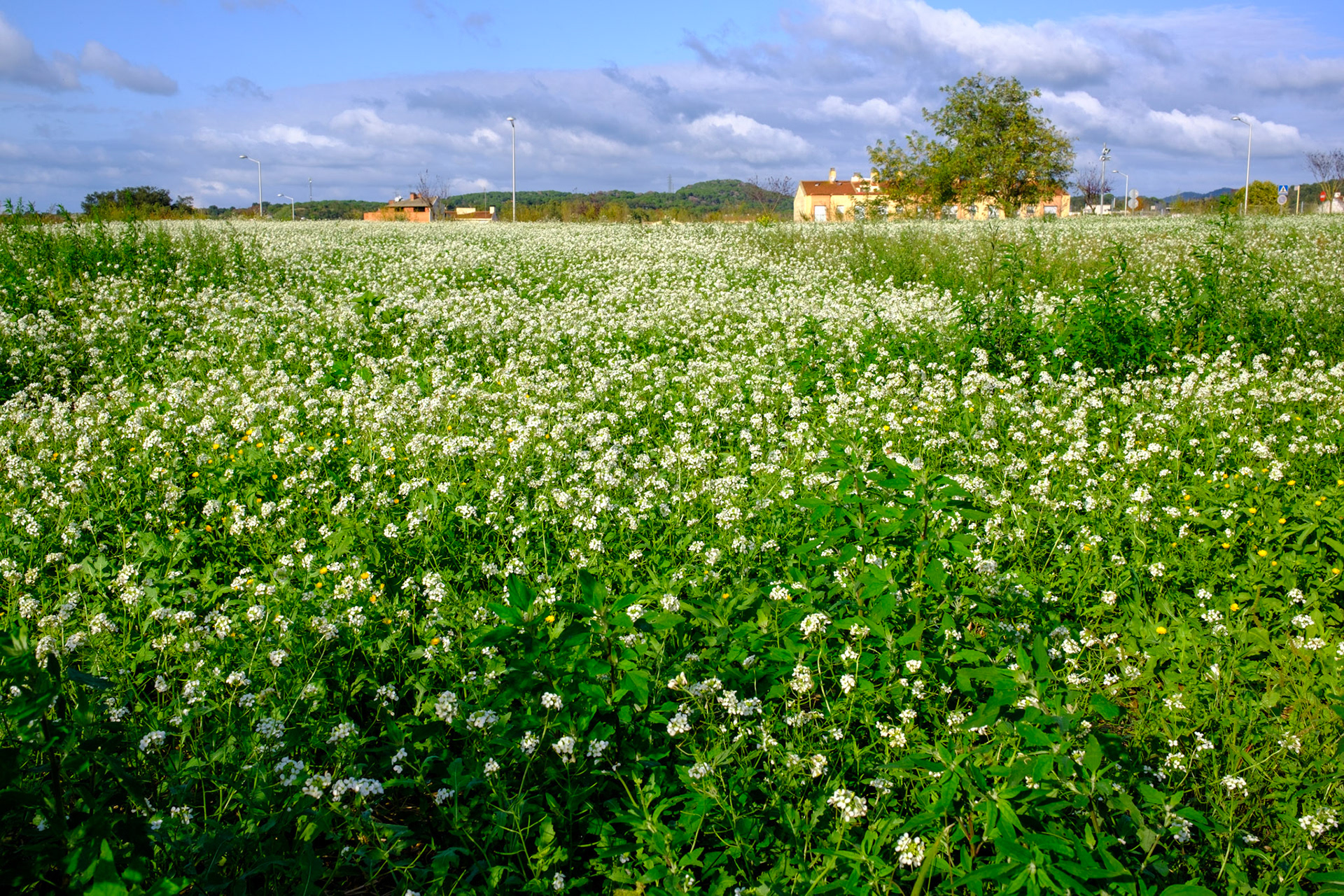 Just up from L’ ANTIGA FÀBRICA