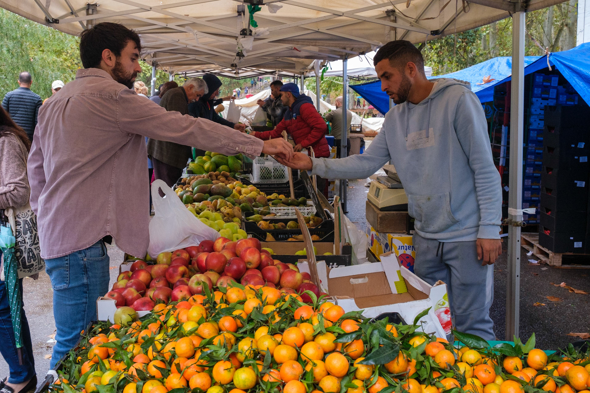 Ribes del Ter Market