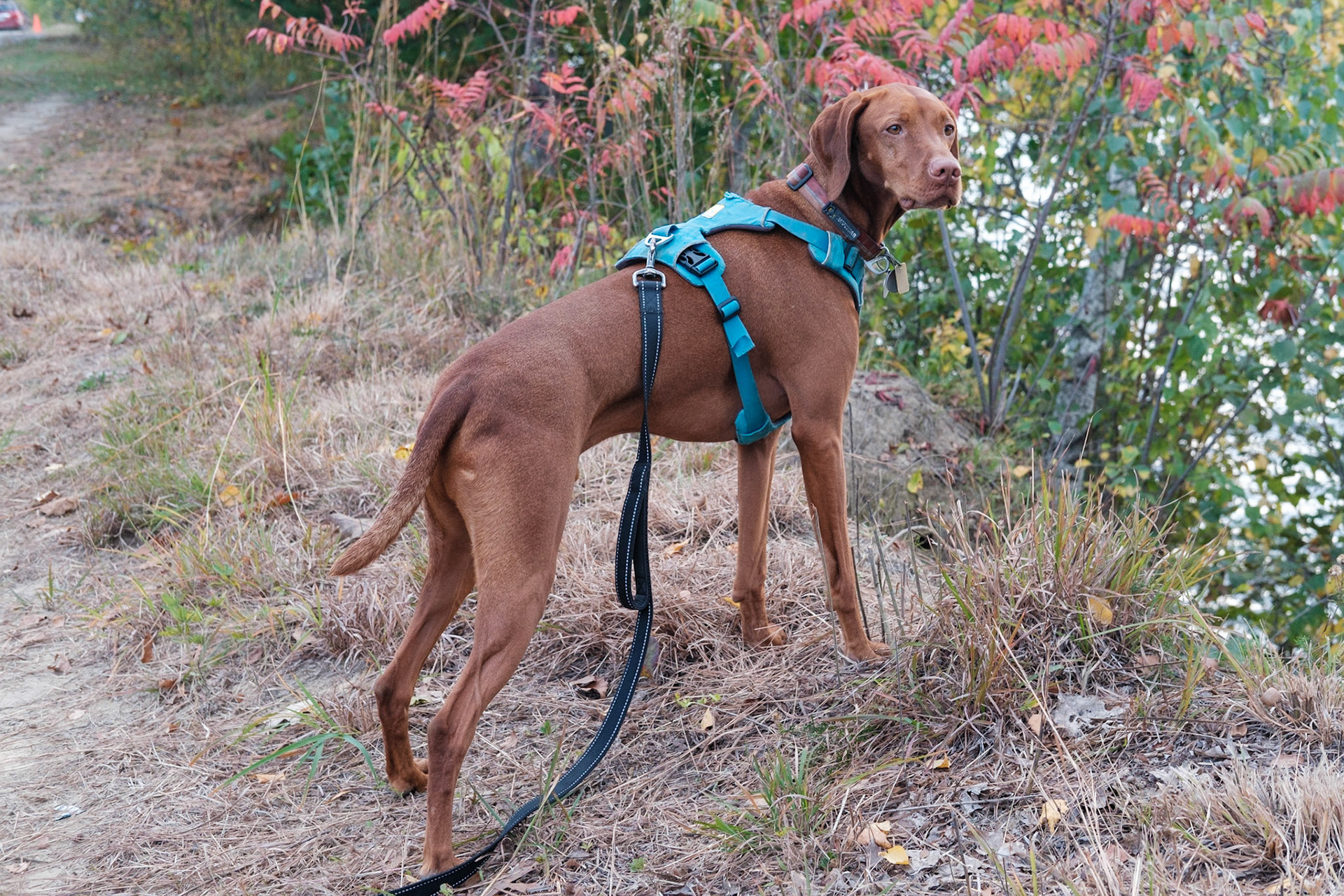 Pembroke, NH / October, 2021