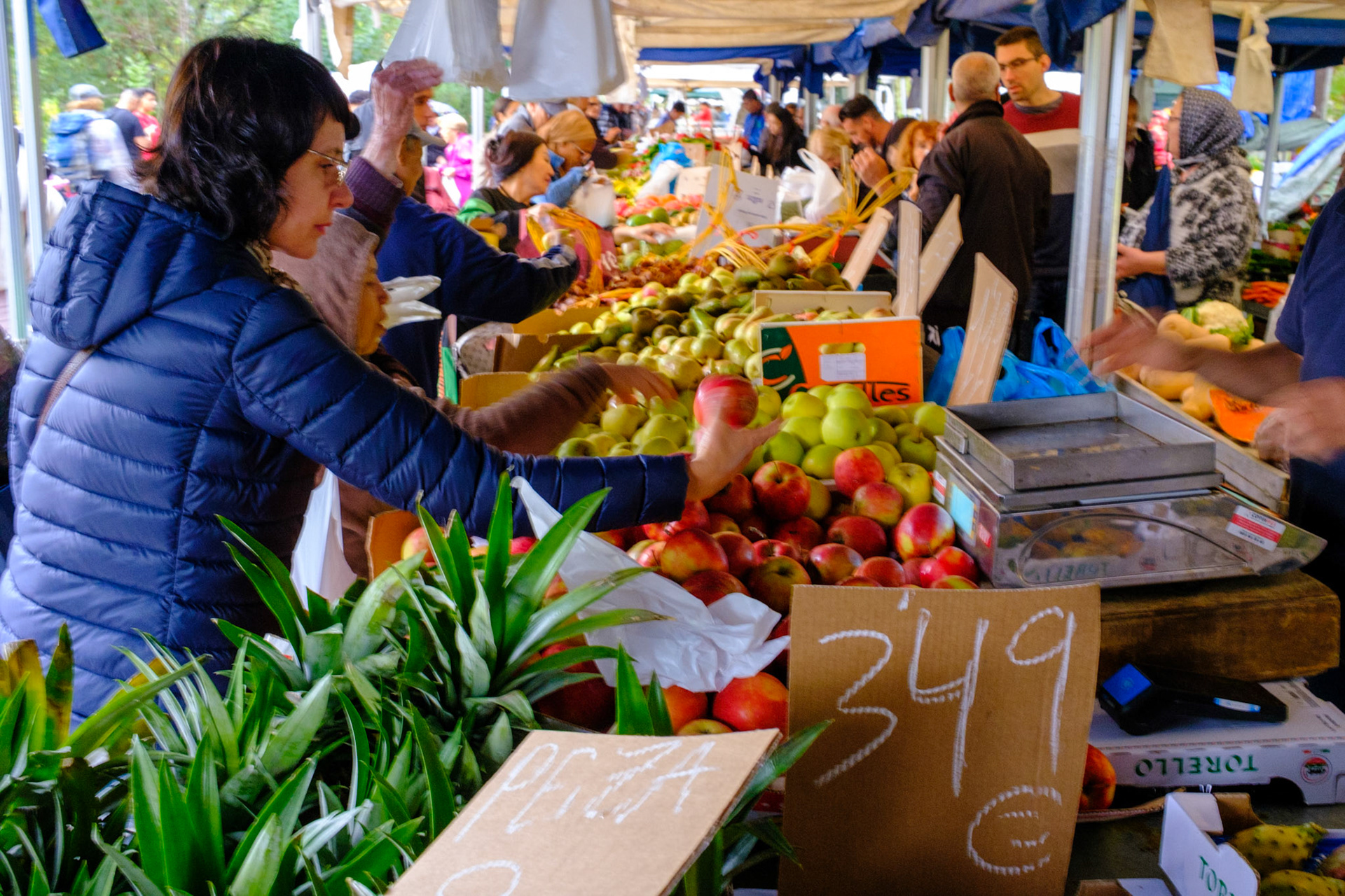 Ribes del Ter Market