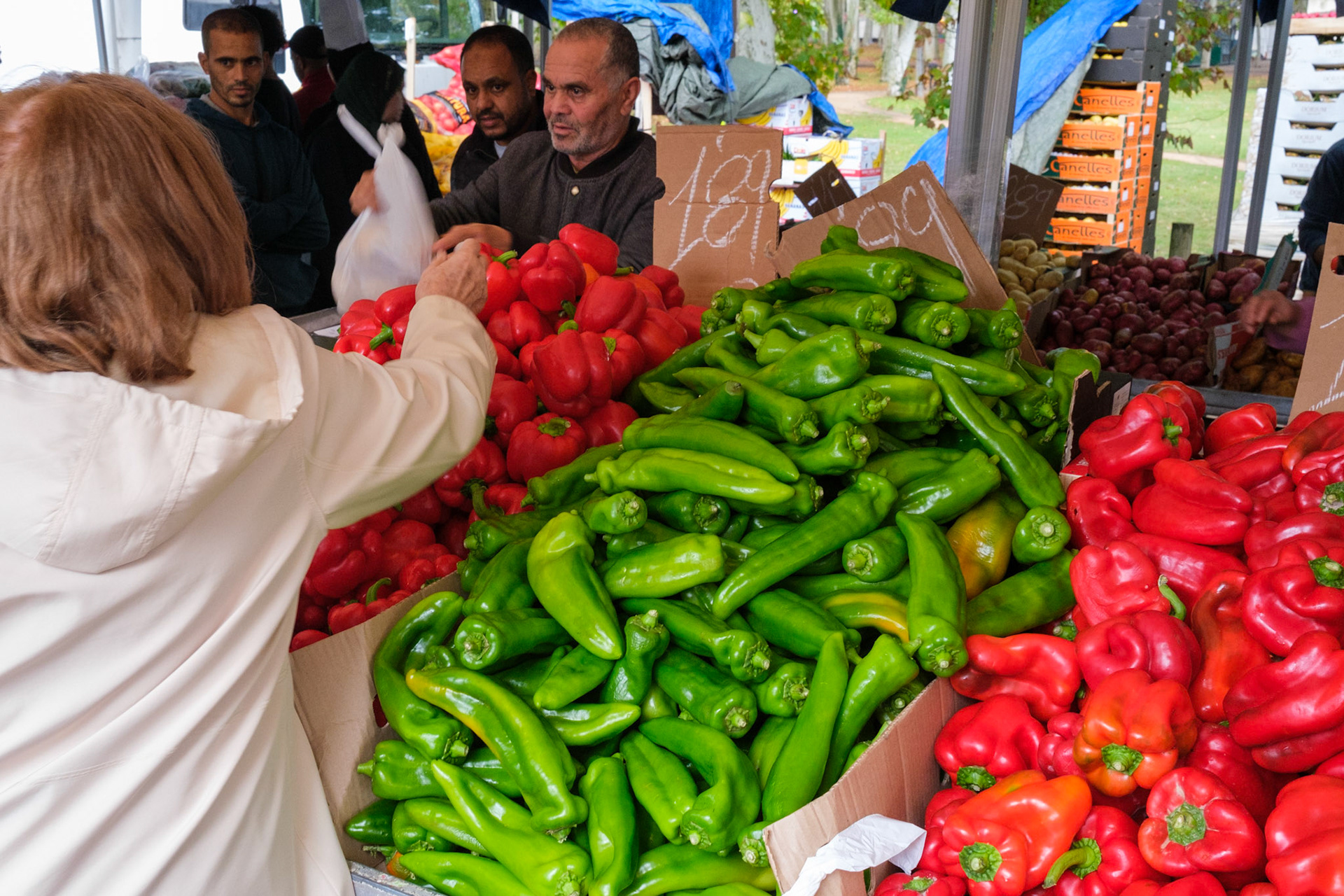 Ribes del Ter Market