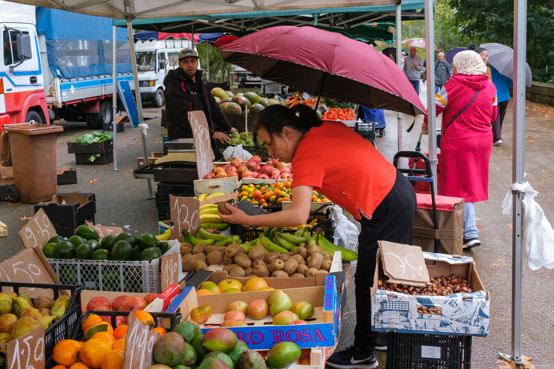 Ribes del Ter Market