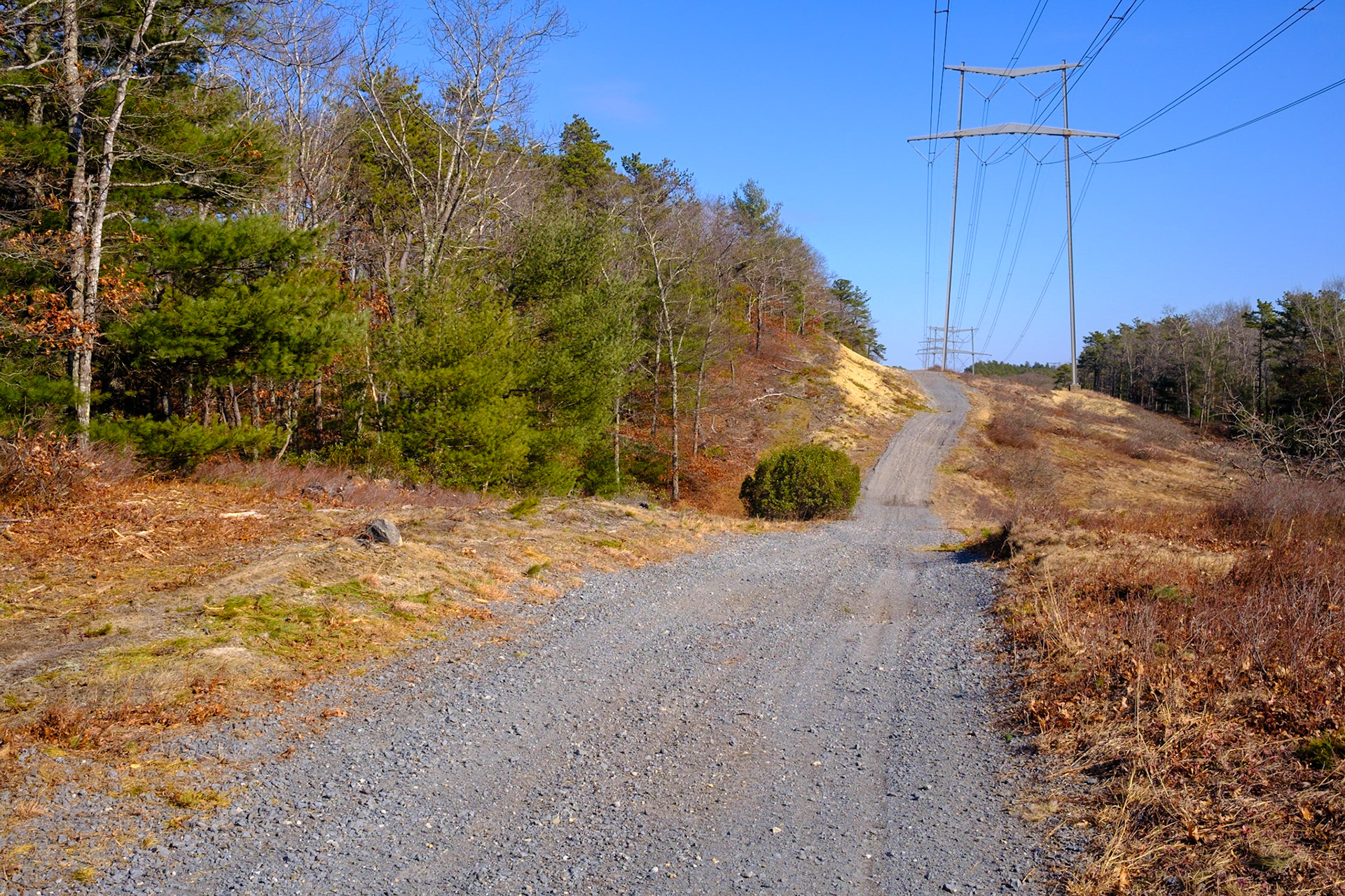 By bicycle on Plymouth power lines.