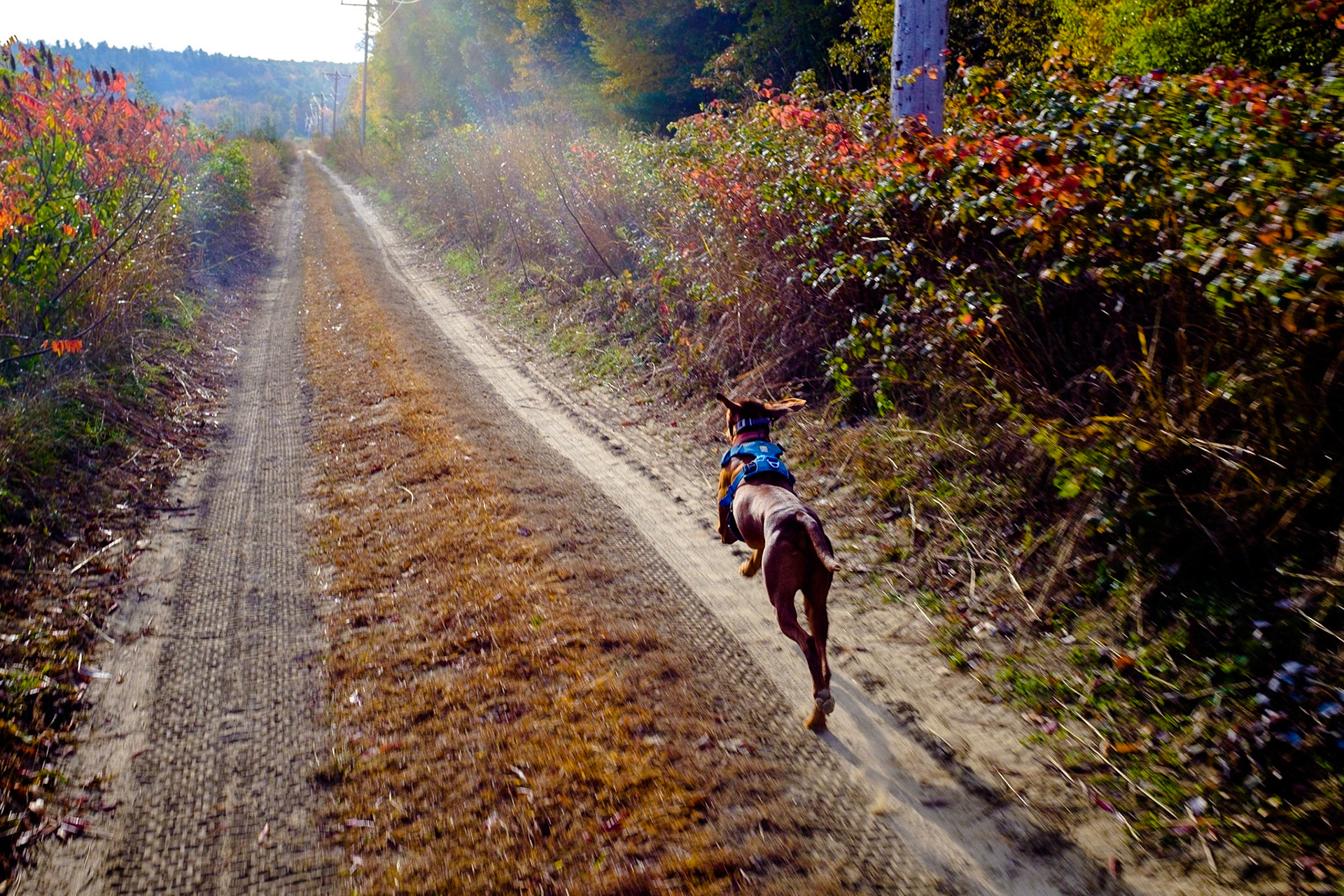 Pembroke, NH / October, 2019