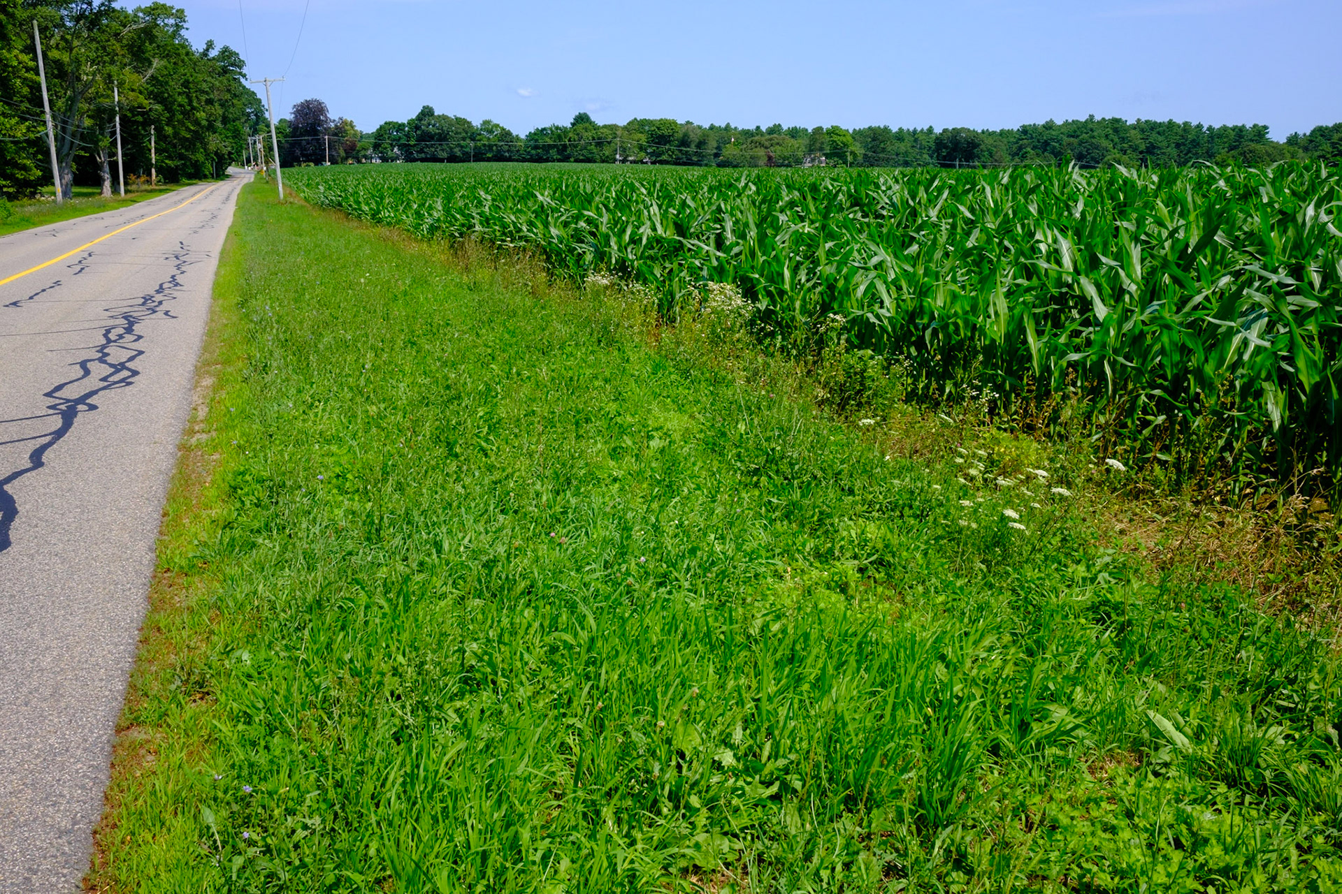 Vaughn Hill Rd, Rochester MA