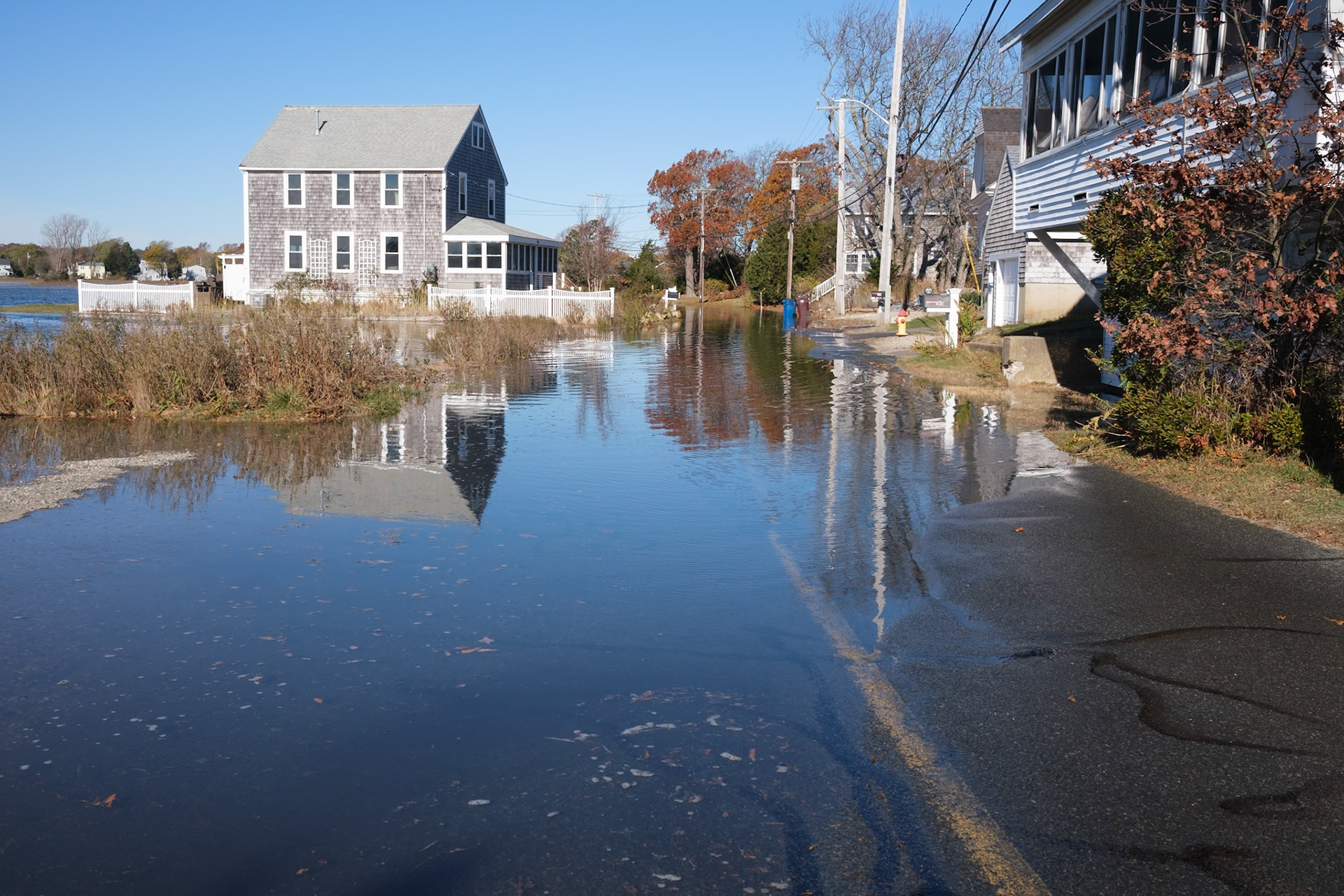 Full Moon HIgh Tide, 11/15/24
