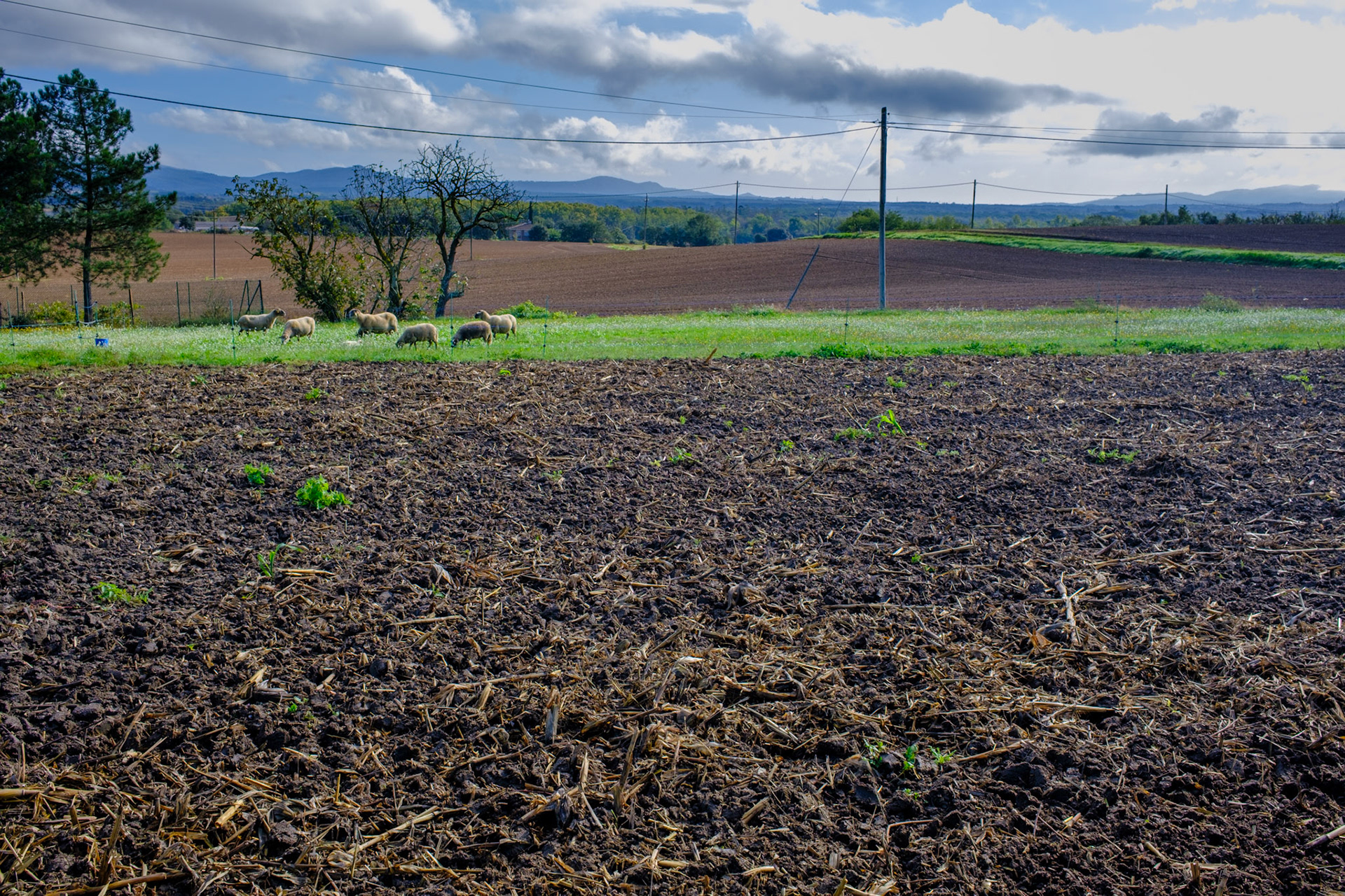 en route to Costa Brava