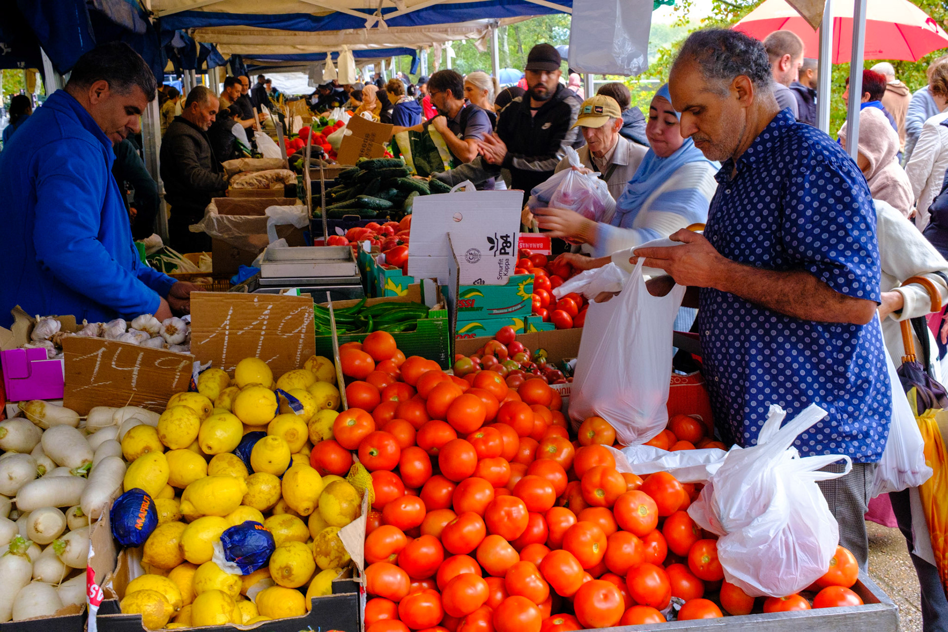 Ribes del Ter Market