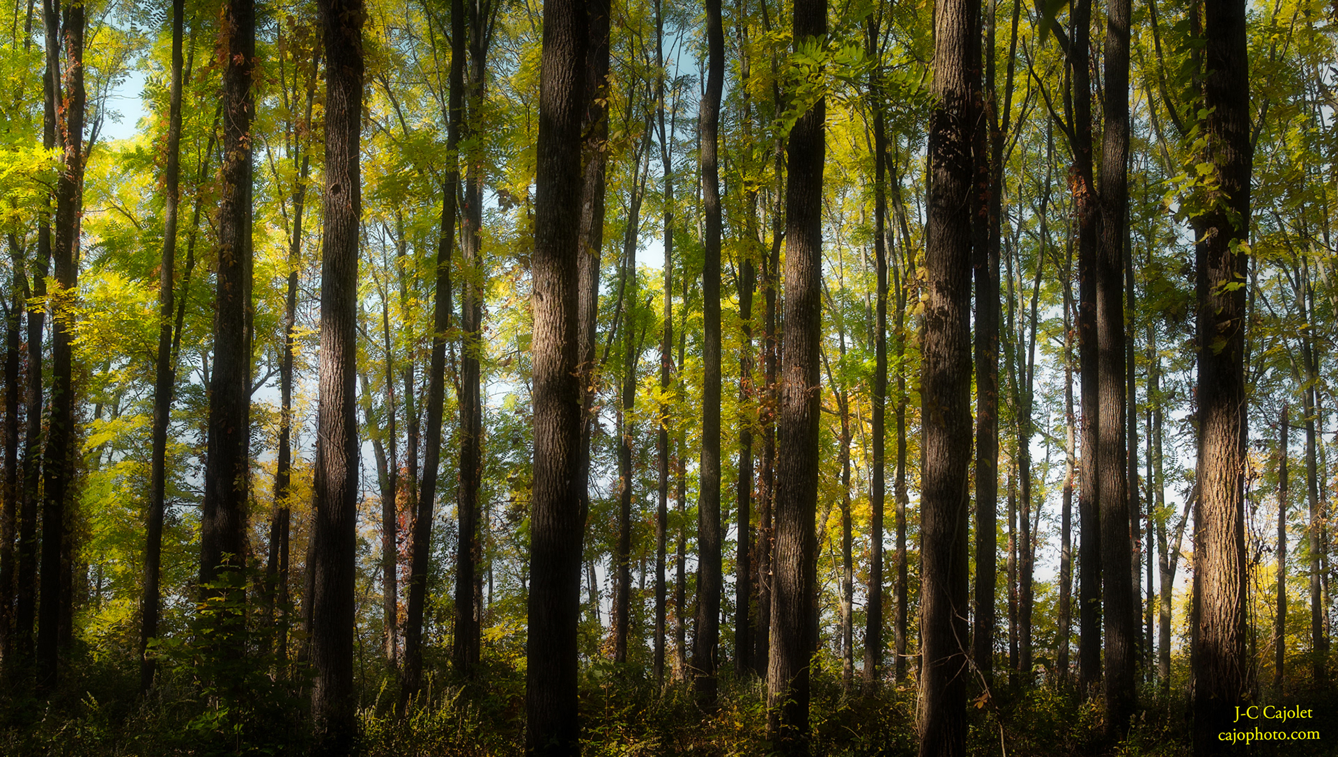 Plénitude / Fullness