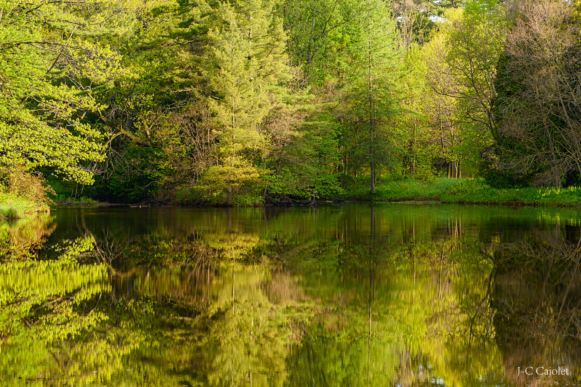 Réflexions   / Thoughts