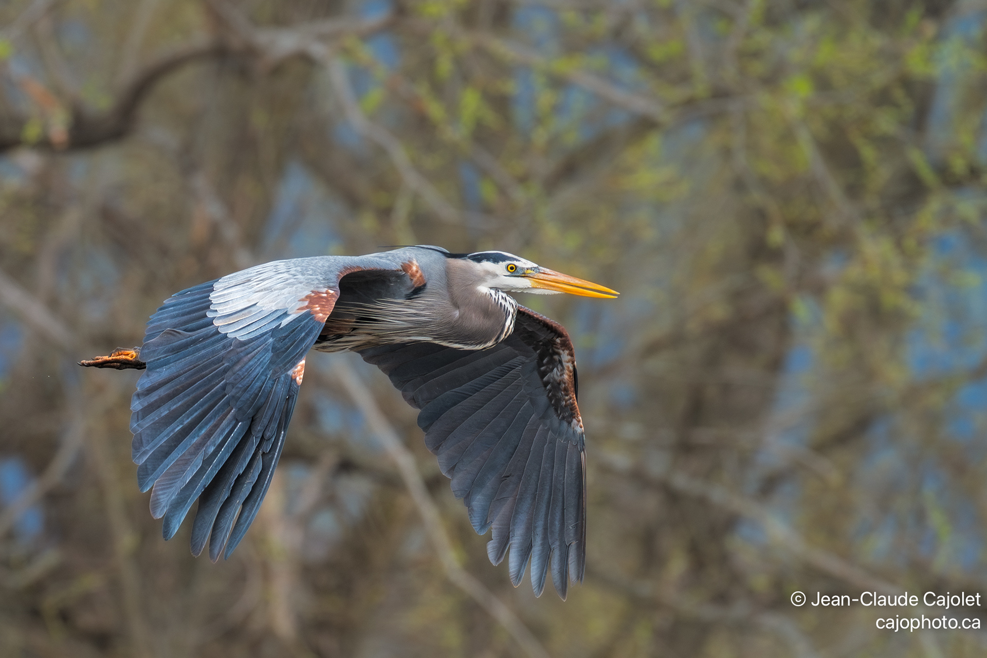 Pragmatique / Pragmatic