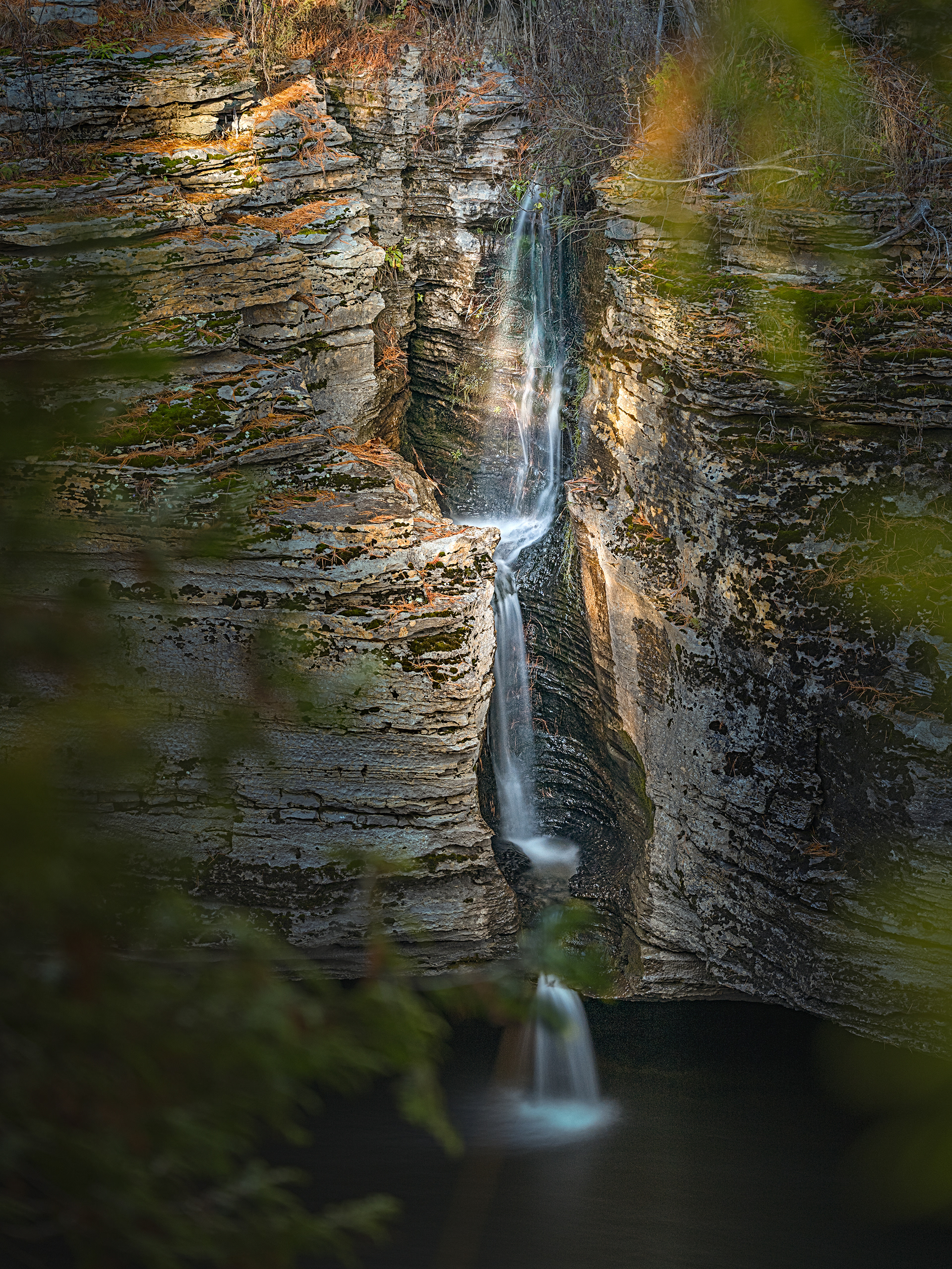 Gazoullis d'automne / Autumn twittering